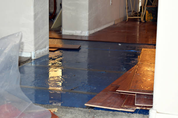Professional Water Damage Restoration technician working in Collierville, CA